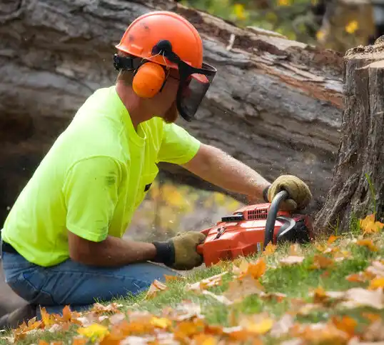 tree services Airport Drive